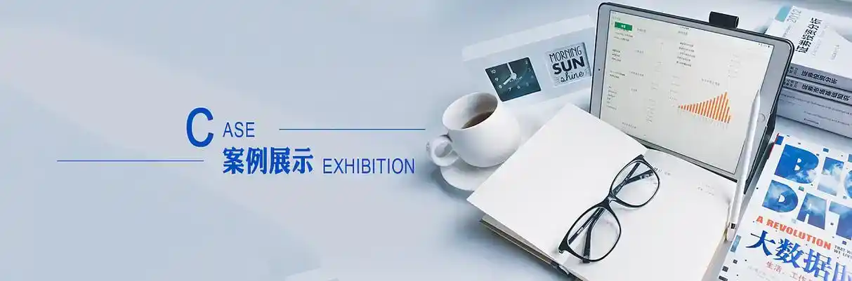 原阳县软件开发
